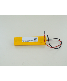 Batterie 4,8V 2.2Ah pour imprimante P81T CRITIKON