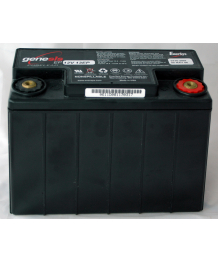 Batteria al piombo 12V 13Ah (178x81x135) ENERSYS (G13EP) (0770-2007C0N2)