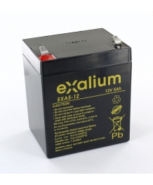 Battery 12V 5Ah for vacuum ofes Primus Cell ARDO mucosit